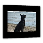 Black German Shepherd Canvas 24  x 20  (Framed)