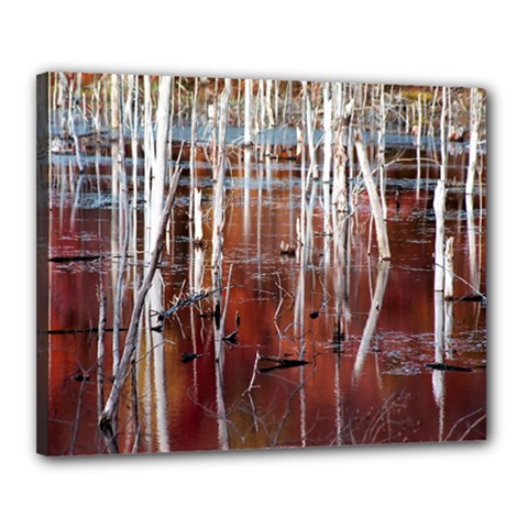 Automn Swamp Canvas 20  x 16  (Framed) from ArtsNow.com