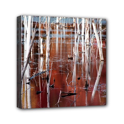 Swamp2 Filtered Mini Canvas 6  x 6  (Framed) from ArtsNow.com