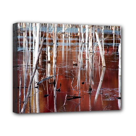 Swamp2 Filtered Canvas 10  x 8  (Framed) from ArtsNow.com