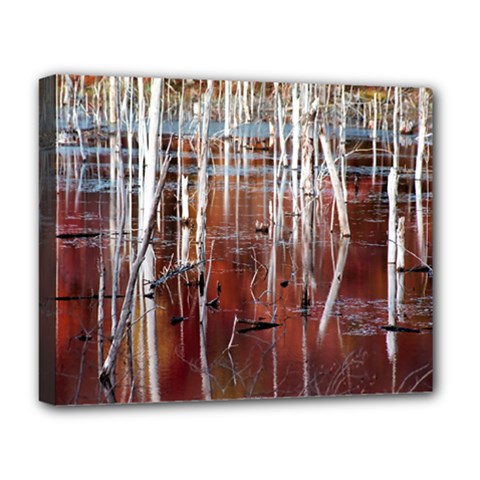 Swamp2 Filtered Deluxe Canvas 20  x 16  (Framed) from ArtsNow.com