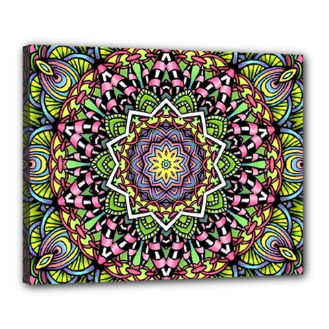 Psychedelic Leaves Mandala Canvas 20  x 16  (Framed) from ArtsNow.com