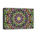 Psychedelic Leaves Mandala Deluxe Canvas 18  x 12  (Framed)