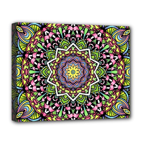 Psychedelic Leaves Mandala Deluxe Canvas 20  x 16  (Framed) from ArtsNow.com