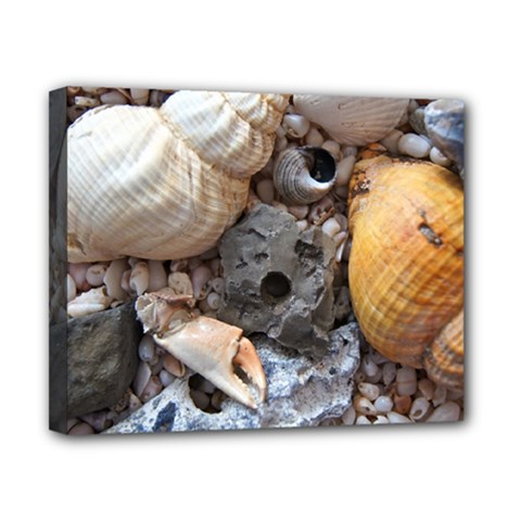 Beach Treasures Canvas 10  x 8  (Framed) from ArtsNow.com