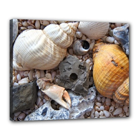 Beach Treasures Canvas 20  x 16  (Framed) from ArtsNow.com