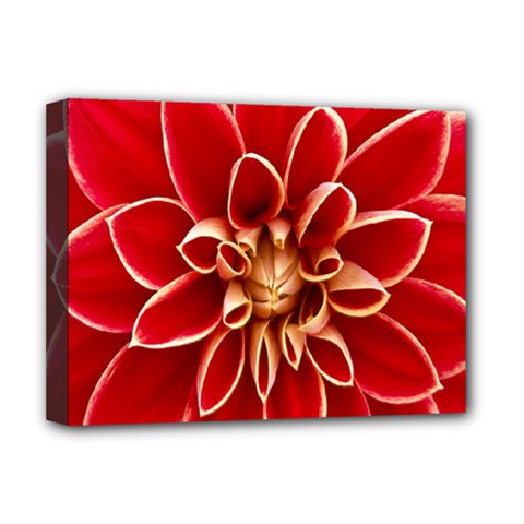 Red Dahila Deluxe Canvas 16  x 12  (Framed)  from ArtsNow.com