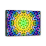 Psychedelic Abstract Mini Canvas 7  x 5  (Framed)