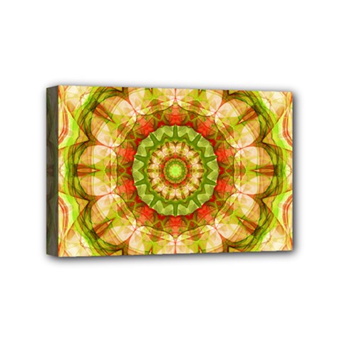 Red Green Apples Mandala Mini Canvas 6  x 4  (Framed) from ArtsNow.com