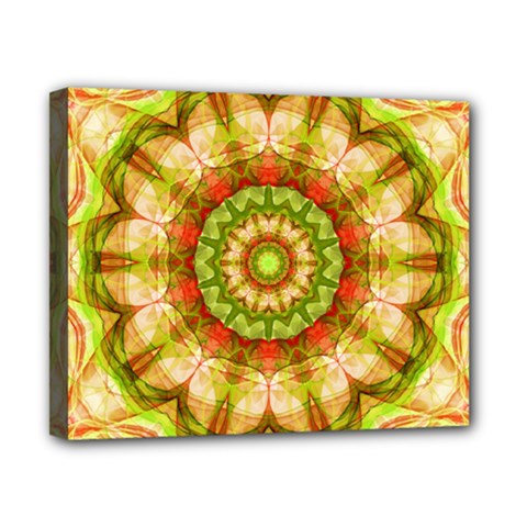 Red Green Apples Mandala Canvas 10  x 8  (Framed) from ArtsNow.com