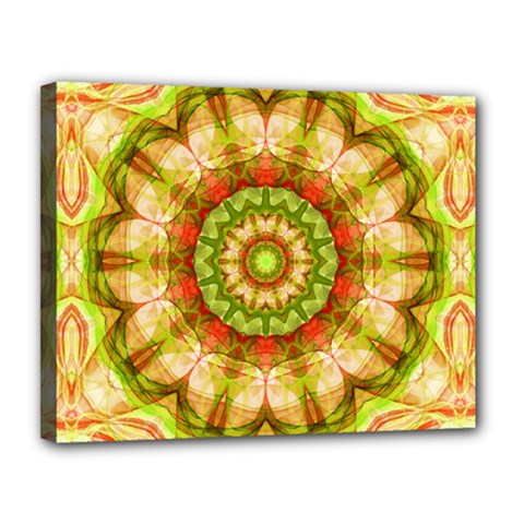 Red Green Apples Mandala Canvas 14  x 11  (Framed) from ArtsNow.com