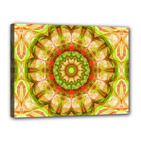 Red Green Apples Mandala Canvas 16  x 12  (Framed) from ArtsNow.com