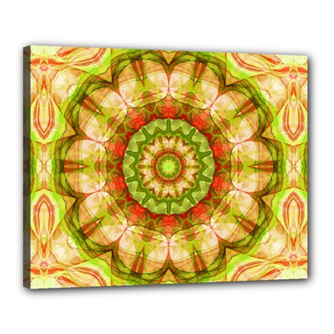 Red Green Apples Mandala Canvas 20  x 16  (Framed) from ArtsNow.com