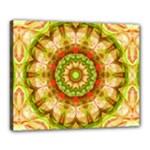 Red Green Apples Mandala Canvas 20  x 16  (Framed)