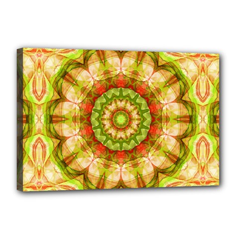 Red Green Apples Mandala Canvas 18  x 12  (Framed) from ArtsNow.com