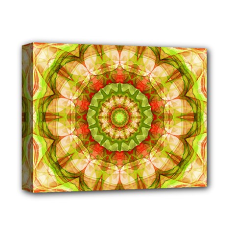 Red Green Apples Mandala Deluxe Canvas 14  x 11  (Framed) from ArtsNow.com