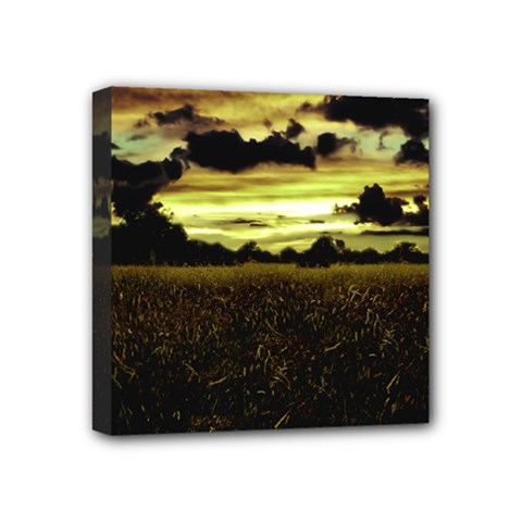 Dark Meadow Landscape  Mini Canvas 4  x 4  (Framed) from ArtsNow.com