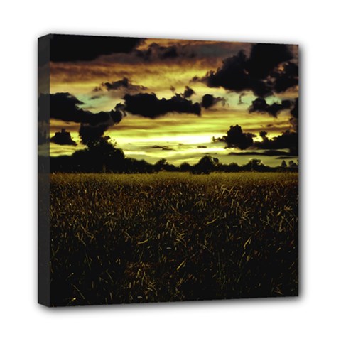 Dark Meadow Landscape  Mini Canvas 8  x 8  (Framed) from ArtsNow.com