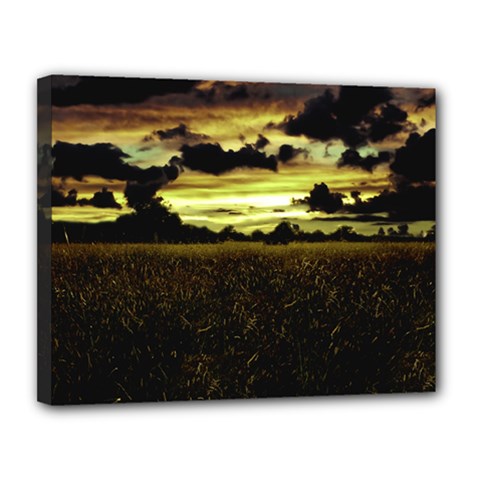 Dark Meadow Landscape  Canvas 14  x 11  (Framed) from ArtsNow.com