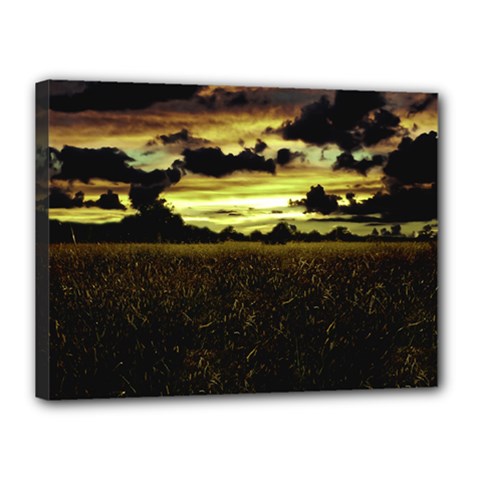 Dark Meadow Landscape  Canvas 16  x 12  (Framed) from ArtsNow.com