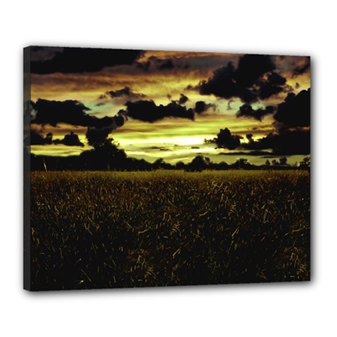 Dark Meadow Landscape  Canvas 20  x 16  (Framed) from ArtsNow.com