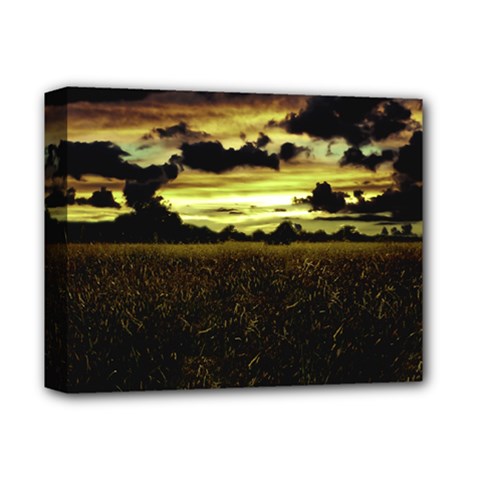 Dark Meadow Landscape  Deluxe Canvas 14  x 11  (Framed) from ArtsNow.com