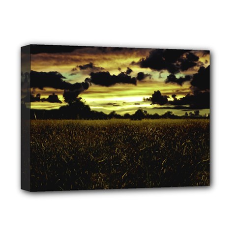 Dark Meadow Landscape  Deluxe Canvas 16  x 12  (Framed)  from ArtsNow.com