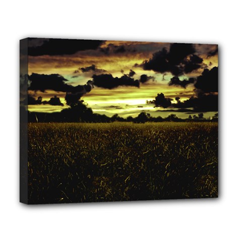 Dark Meadow Landscape  Deluxe Canvas 20  x 16  (Framed) from ArtsNow.com