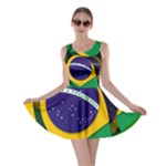 Brazil Skater Dress