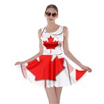 Canada Skater Dress