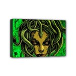 Medusa Mini Canvas 6  x 4  (Stretched)