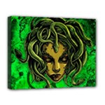 Medusa Canvas 14  x 11  (Stretched)