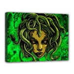 Medusa Canvas 16  x 12  (Stretched)