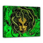 Medusa Canvas 20  x 16  (Stretched)