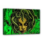 Medusa Canvas 18  x 12  (Stretched)