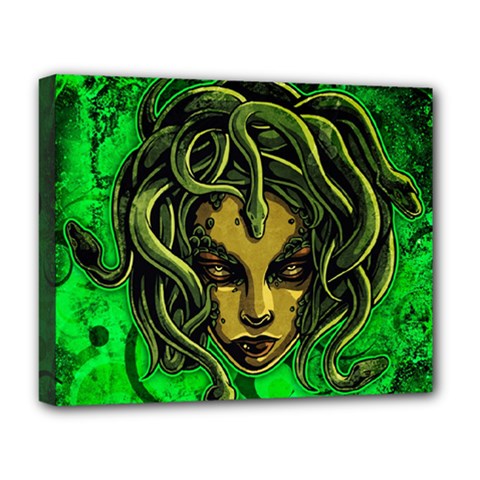 Medusa Deluxe Canvas 20  x 16  (Stretched) from ArtsNow.com