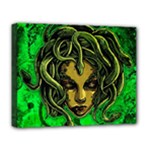 Medusa Deluxe Canvas 20  x 16  (Stretched)