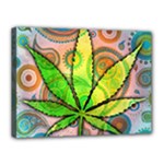 Ganja Canvas 16  x 12  (Stretched)