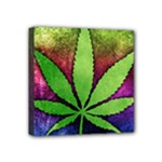 Pot Leaf Mini Canvas 4  x 4  (Stretched)