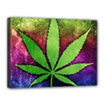 Pot Leaf Canvas 16  x 12  (Stretched)