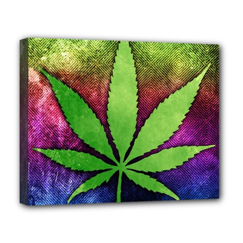 Pot Leaf Deluxe Canvas 20  x 16  (Stretched) from ArtsNow.com