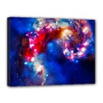 Colorful Cosmos Canvas 16  x 12  (Stretched)