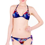 Colorful Cosmos Bikini Set