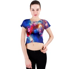 Crew Neck Crop Top 