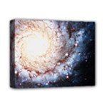 Colorful Cosmos Deluxe Canvas 14  x 11  (Stretched)