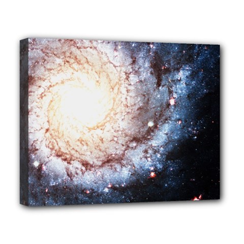 Colorful Cosmos Deluxe Canvas 20  x 16  (Stretched) from ArtsNow.com