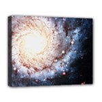 Colorful Cosmos Deluxe Canvas 20  x 16  (Stretched)