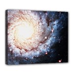 Colorful Cosmos Deluxe Canvas 24  x 20  (Stretched)