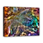 Colorful Cosmos Canvas 14  x 11  (Stretched)