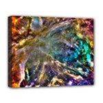 Colorful Cosmos Deluxe Canvas 20  x 16  (Stretched)